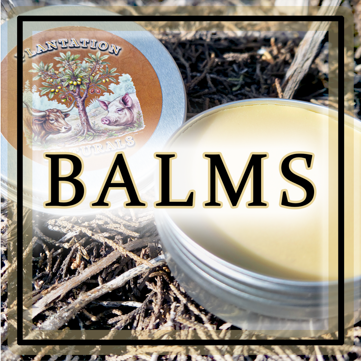 Balms