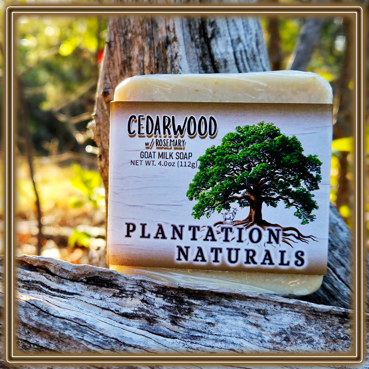 CEDERWOOD w/ Rosemary Milk Soap Bar