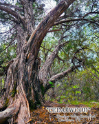 NATURE PHOTO PRINTS