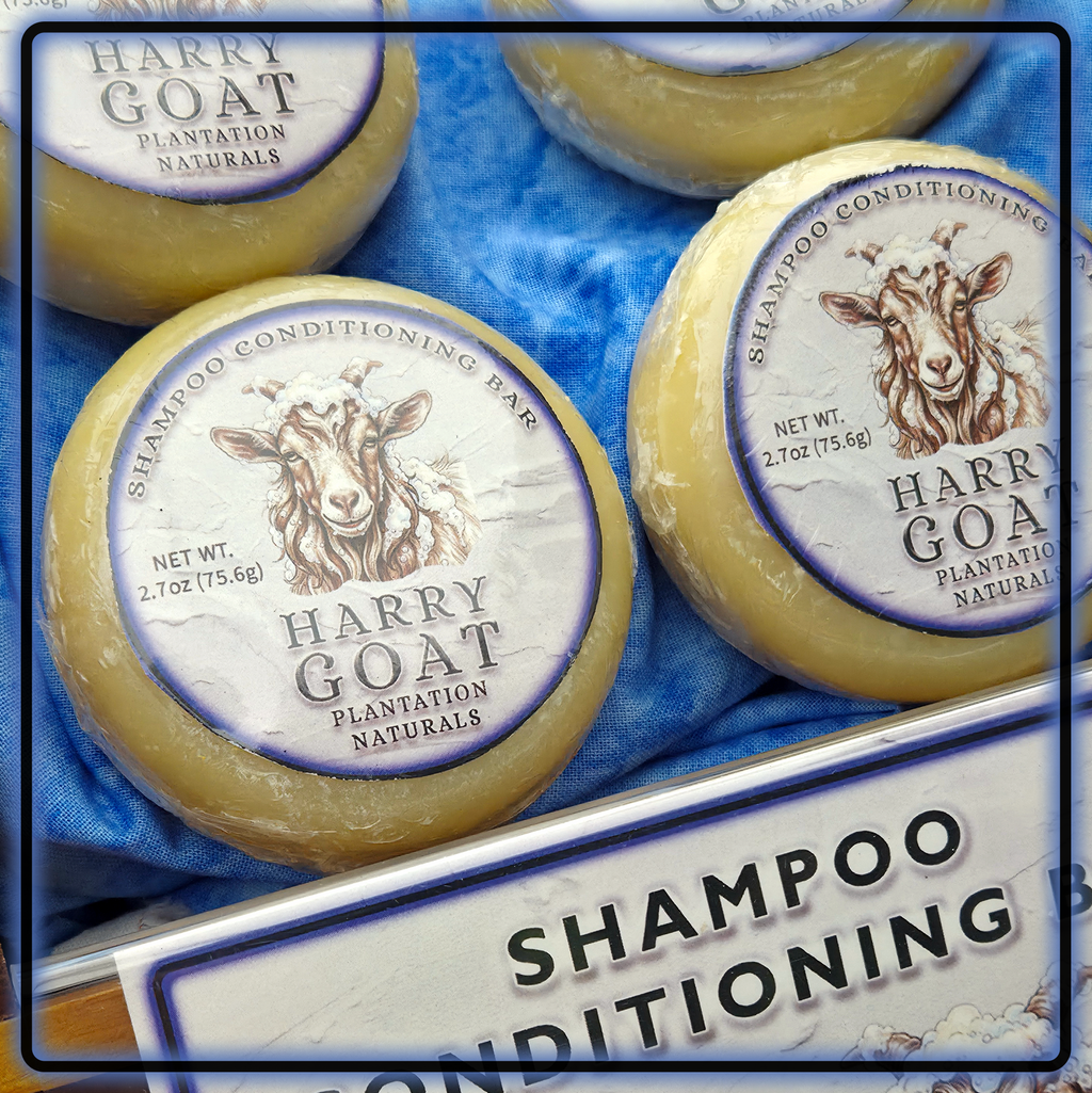 HAIRY GOAT - Shampoo & Conditioning Puck