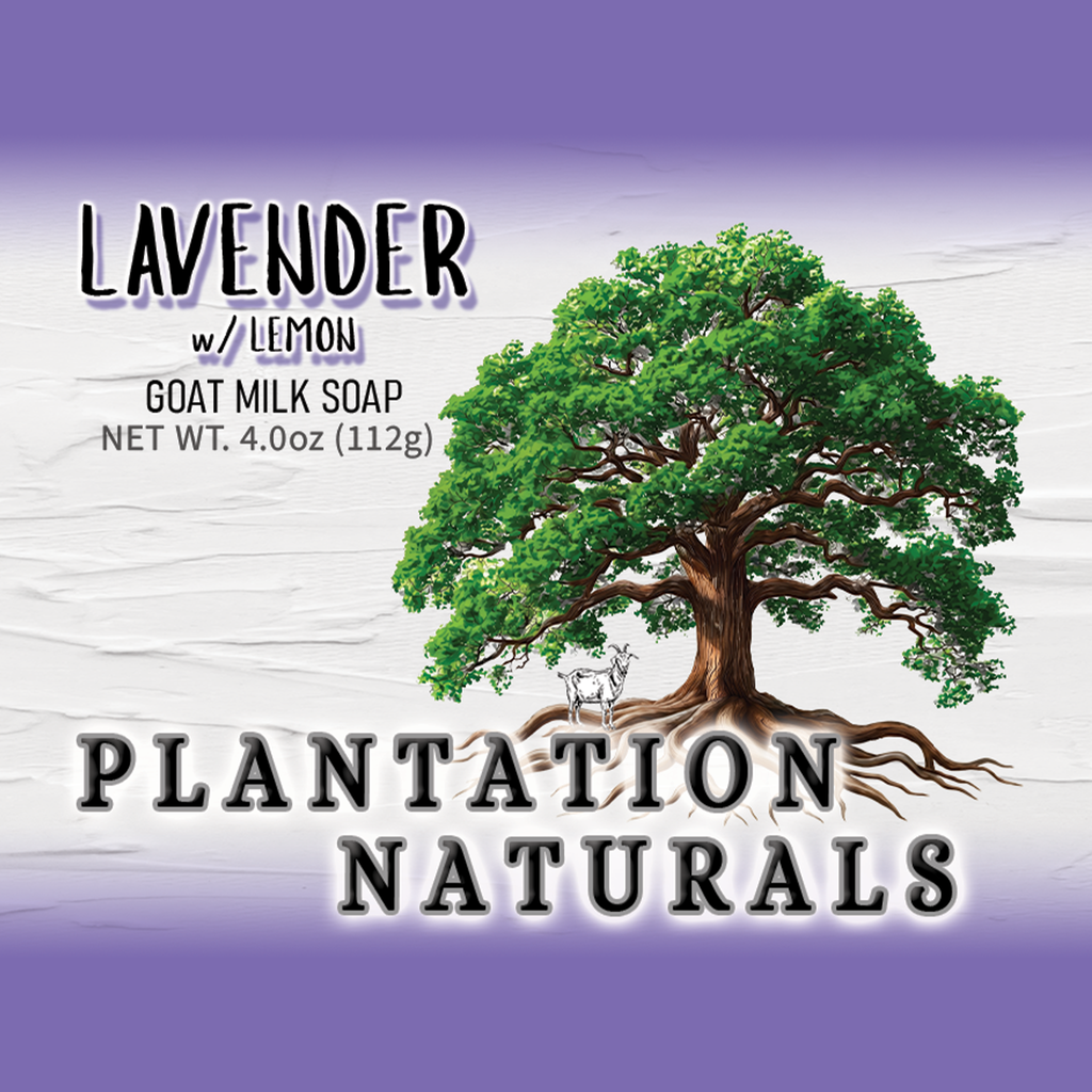 LAVENDER w/ Lemon Goat Milk Soap Bar