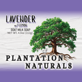 LAVENDER w/ Lemon Goat Milk Soap Bar