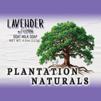 LAVENDER w/ Lemon Goat Milk Soap Bar