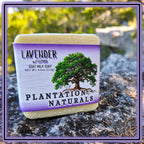 LAVENDER w/ Lemon Goat Milk Soap Bar