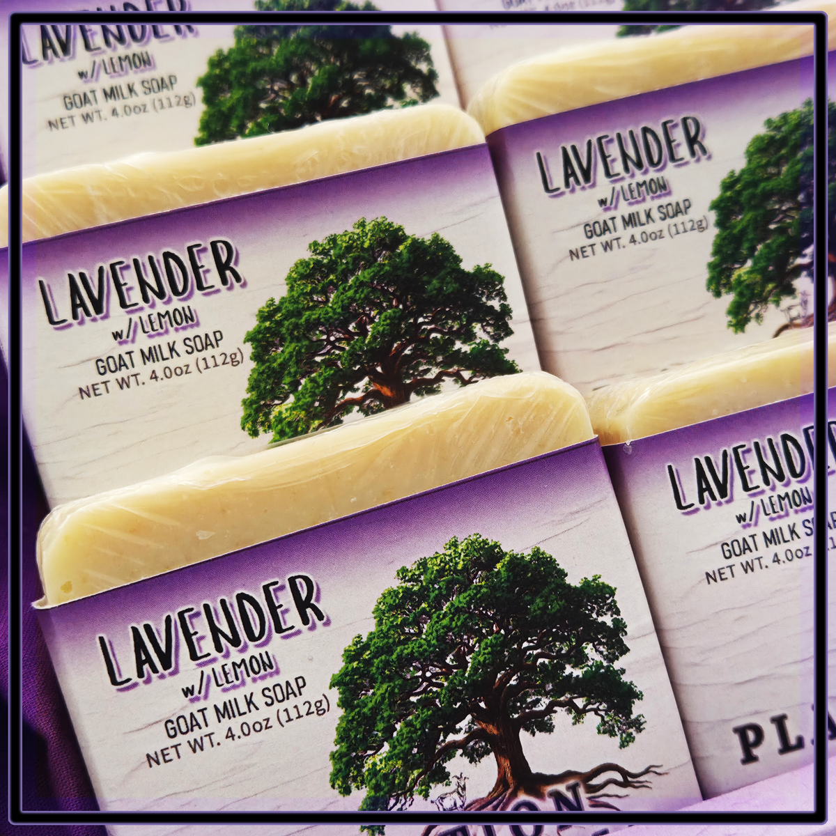 LAVENDER w/ Lemon Goat Milk Soap Bar