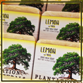 LEMON w/ Basil