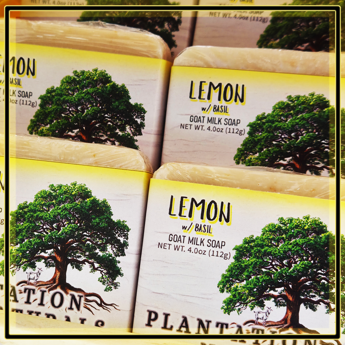 LEMON w/ Basil Goat Milk Soap Bar