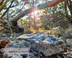 NATURE PHOTO PRINTS
