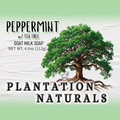 PEPPERMINT w/ Tea Tree Milk Soap Bar