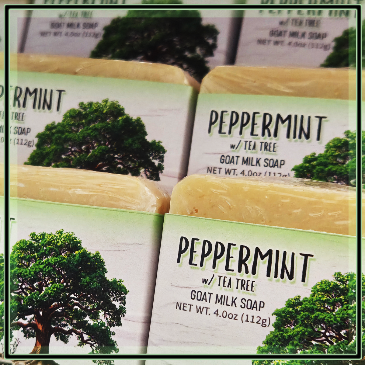 PEPPERMINT w/ Tea Tree Milk Soap Bar