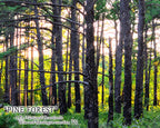 NATURE PHOTO PRINTS