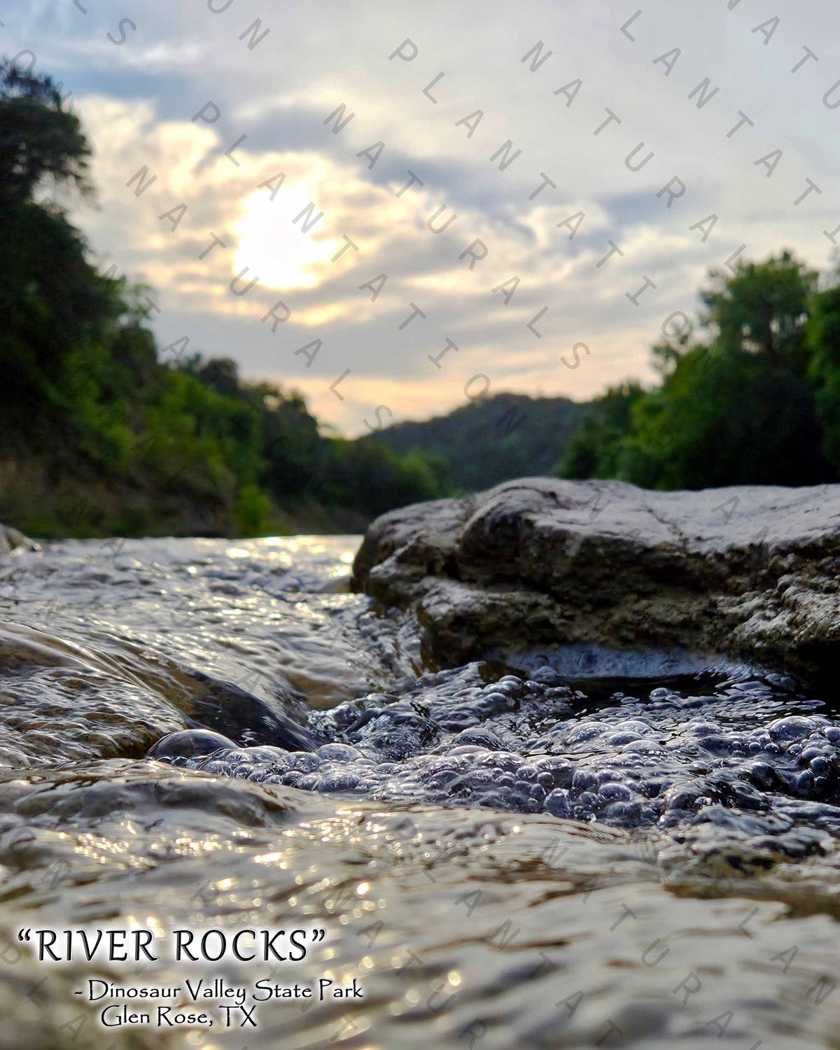 NATURE PHOTO PRINTS