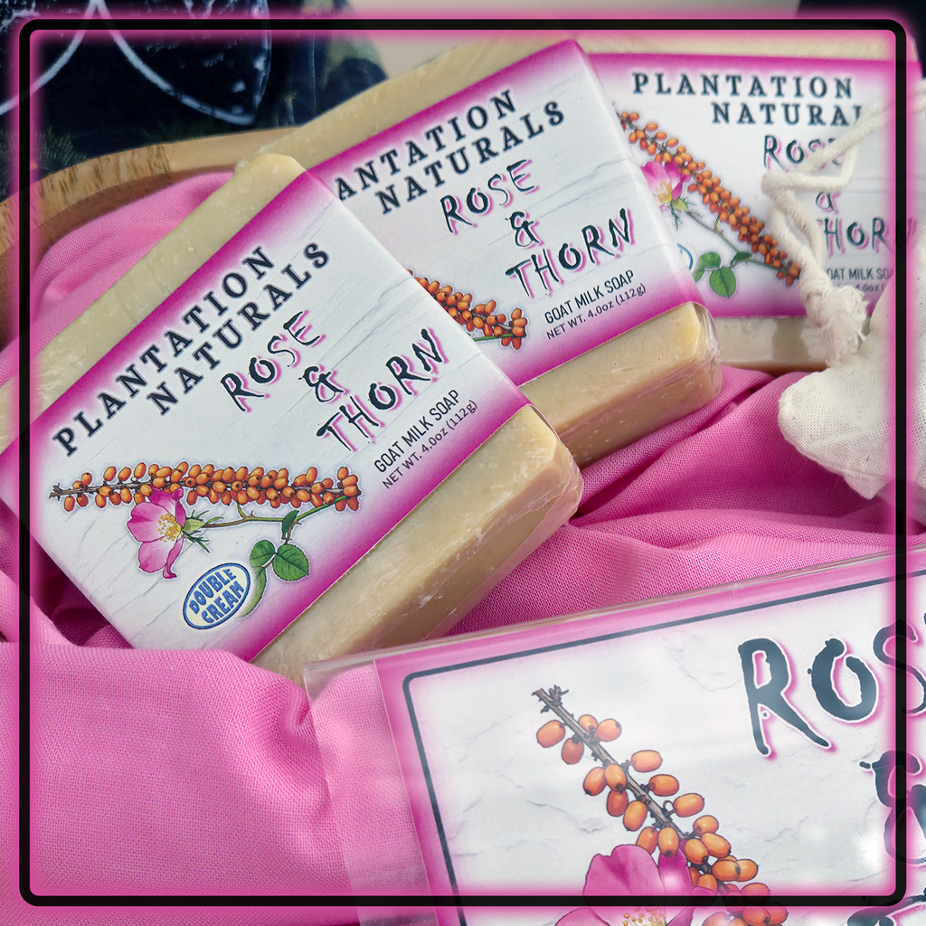 ROSE & THORN w/ Sea Buckthorn Oil Goat Milk Soap Bar