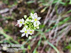 NATURE PHOTO PRINTS